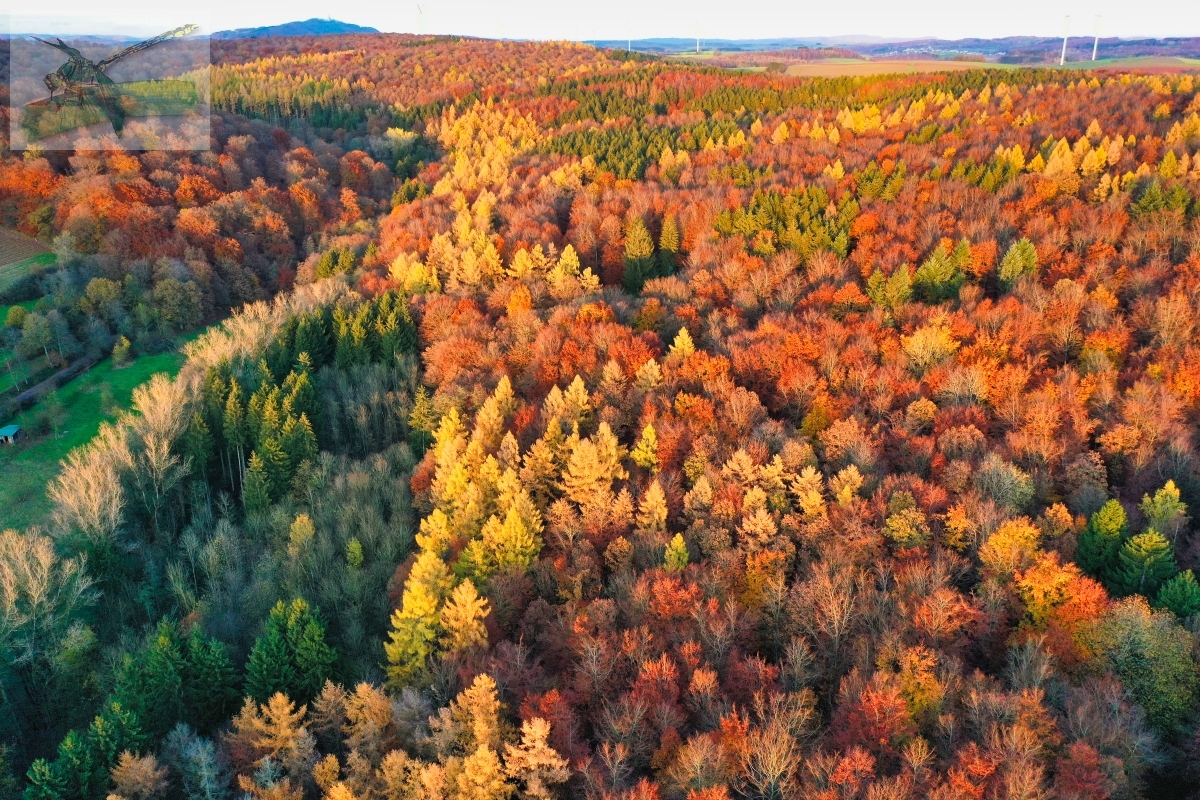 19Nov19-Eppelborn-945